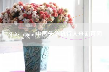 莱芜中国失信执行人查询官网