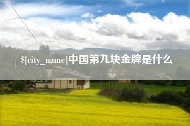 莱芜中国第九块金牌是什么