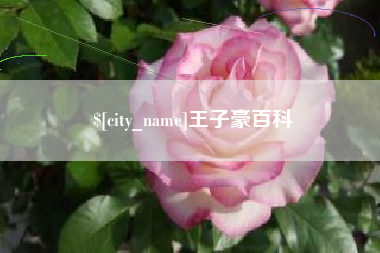莱芜王子豪百科