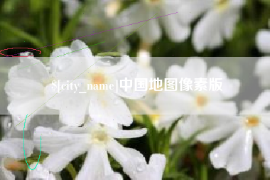莱芜中国地图像素版