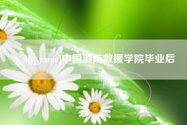 莱芜中国消防救援学院毕业后