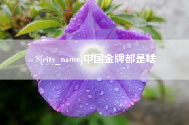 莱芜中国金牌都是啥