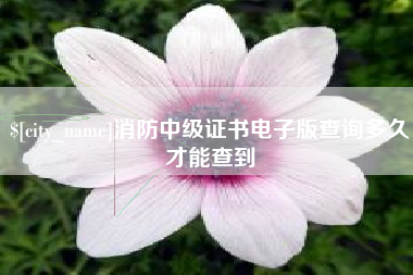 莱芜消防中级证书电子版查询多久才能查到