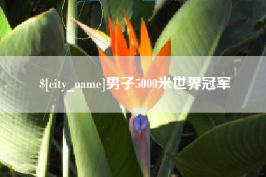 莱芜男子5000米世界冠军