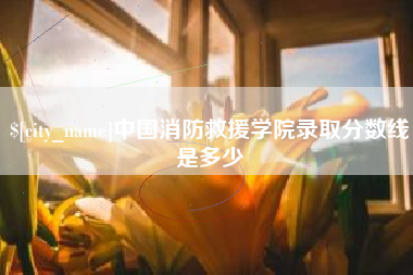 莱芜中国消防救援学院录取分数线是多少