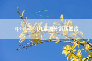 莱芜九宫图分割线图片