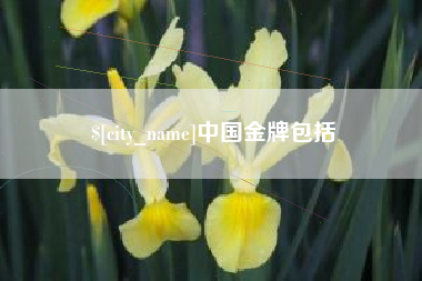 莱芜中国金牌包括