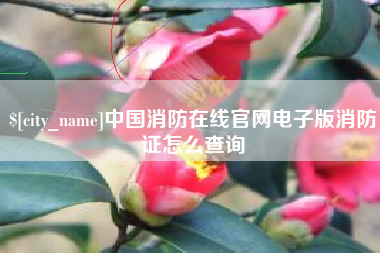 莱芜中国消防在线官网电子版消防证怎么查询