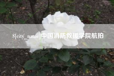 莱芜中国消防救援学院航拍