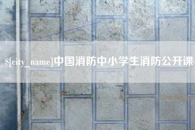 莱芜中国消防中小学生消防公开课