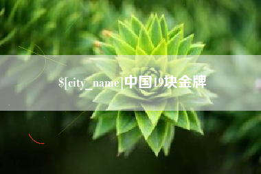 莱芜中国19块金牌