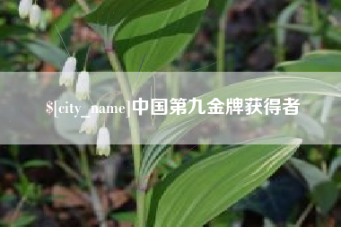 莱芜中国第九金牌获得者