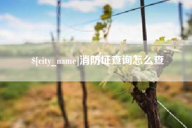 莱芜消防证查询怎么查