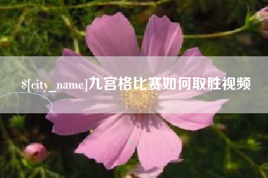 莱芜九宫格比赛如何取胜视频