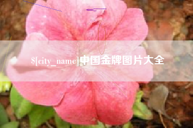 莱芜中国金牌图片大全