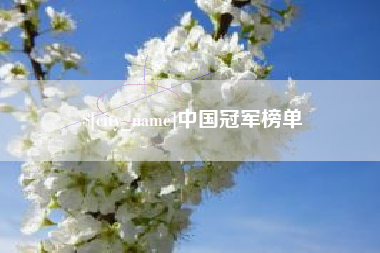 莱芜中国冠军榜单