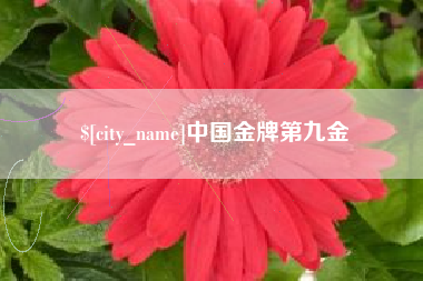 莱芜中国金牌第九金