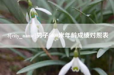 莱芜男子5000米年龄成绩对照表