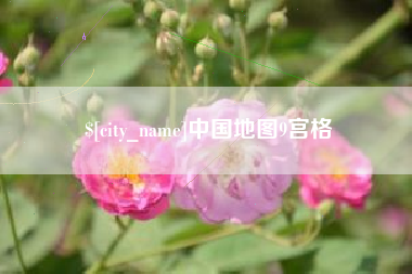 莱芜中国地图9宫格
