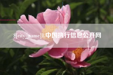 莱芜1.中国执行信息公开网