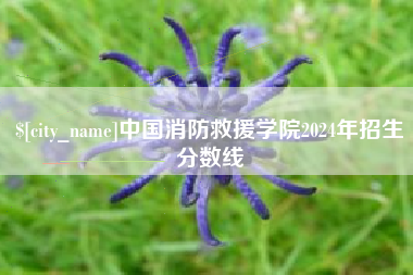 莱芜中国消防救援学院2024年招生分数线