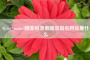 莱芜国家应急救援员报名网址是什么