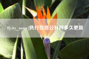 莱芜执行信息公开网多久更新