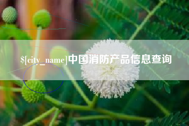 莱芜中国消防产品信息查询