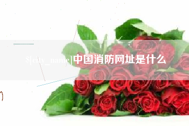 莱芜中国消防网址是什么