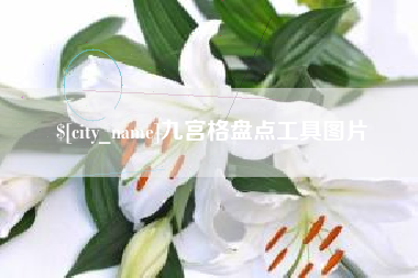 莱芜九宫格盘点工具图片