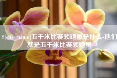 莱芜五千米比赛领跑员是什么-他们就是五千米比赛领跑员