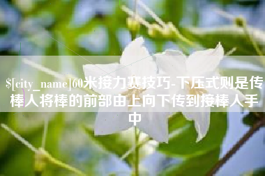 莱芜60米接力赛技巧-下压式则是传棒人将棒的前部由上向下传到接棒人手中