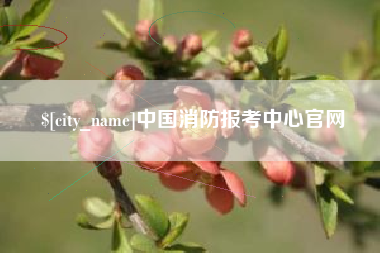 莱芜中国消防报考中心官网