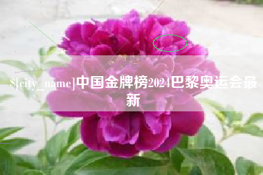莱芜中国金牌榜2024巴黎奥运会最新