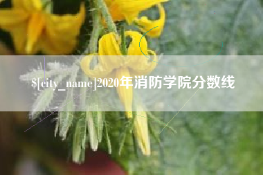 莱芜2020年消防学院分数线
