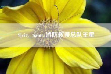 莱芜消防救援总队王星