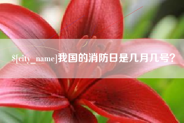 莱芜我国的消防日是几月几号？
