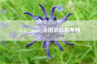 莱芜全国消防招考网