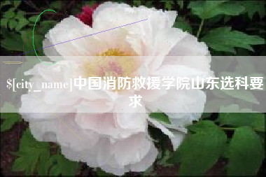 莱芜中国消防救援学院山东选科要求