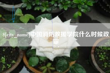 莱芜中国消防救援学院什么时候政审