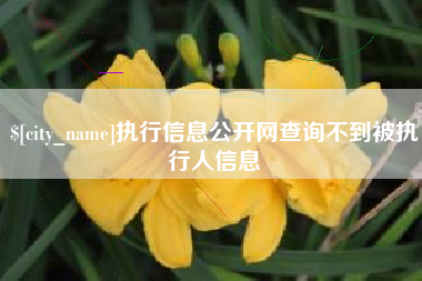 莱芜执行信息公开网查询不到被执行人信息