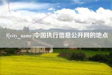 莱芜中国执行信息公开网的地点