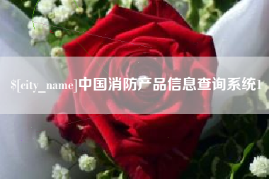 莱芜中国消防产品信息查询系统1