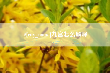 莱芜九宫怎么解释