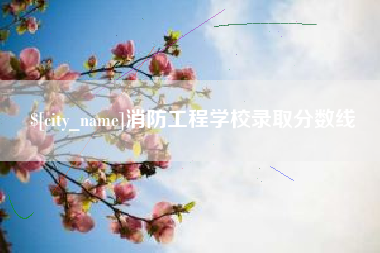莱芜消防工程学校录取分数线
