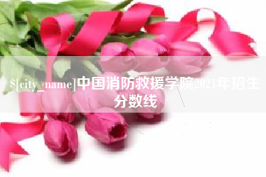 莱芜中国消防救援学院2021年招生分数线