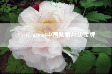莱芜中国队第八块金牌