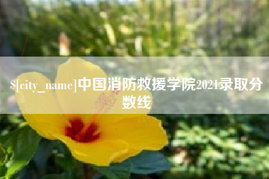 莱芜中国消防救援学院2021录取分数线