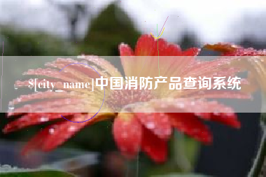 莱芜中国消防产品查询系统