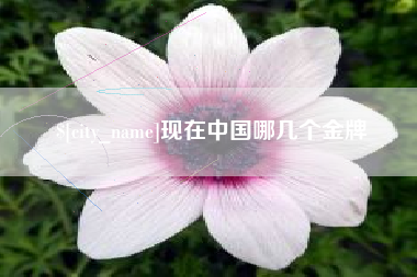 莱芜现在中国哪几个金牌
